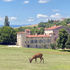 Visiter le Château de Montfleury : histoire, architecture et cadre naturel en Auvergne