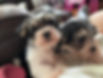 323023843_854226475693199_4686240733333421626_n.jpg