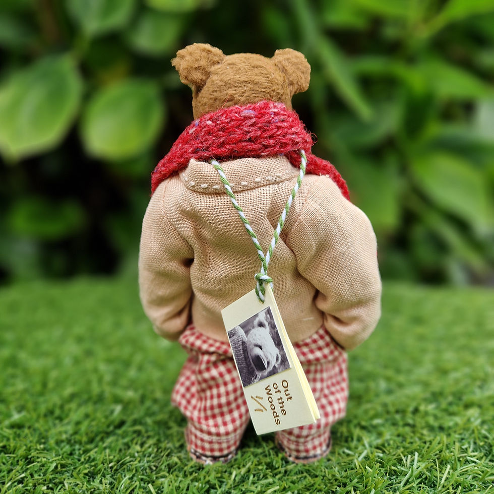 Thumbnail: Samuel Bear by Out of The Woods