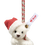 Thumbnail: Teddy Bear Ornament on Bell 008023