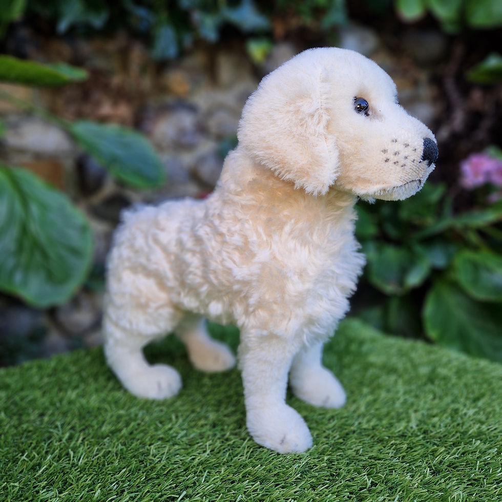 Thumbnail: Once Loved Golden Retriever by Steiff