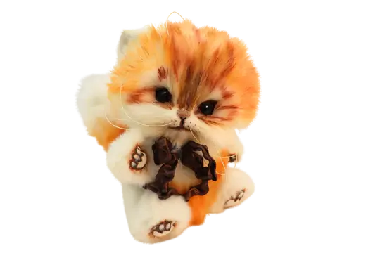 Kitten Rudi