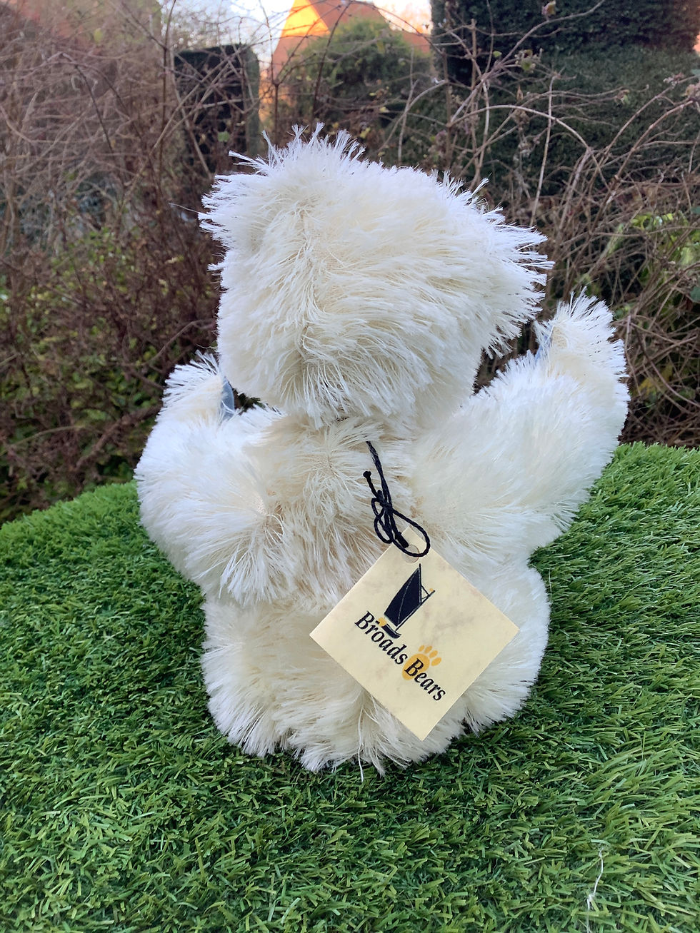 Thumbnail: Ellingham by Broads Bears