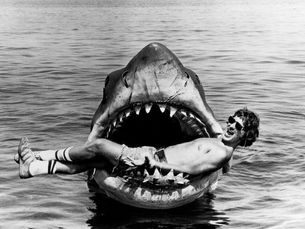 Youth Magazine _ Shark attacks andsurf culture:the controversialside of online environmentalism