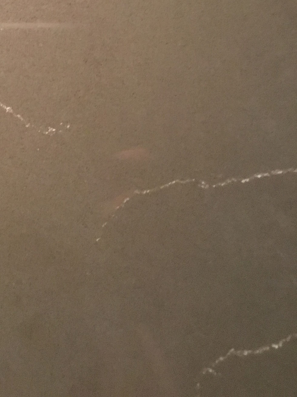 Pental Grigio Polished Quartz