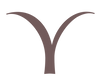 Y (10).png