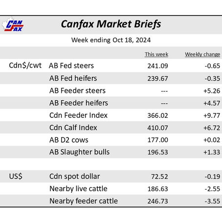 Canfax Market Briefs - Week ending October 18, 2024
