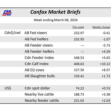 Canfax Market Briefs - March 8, 2024