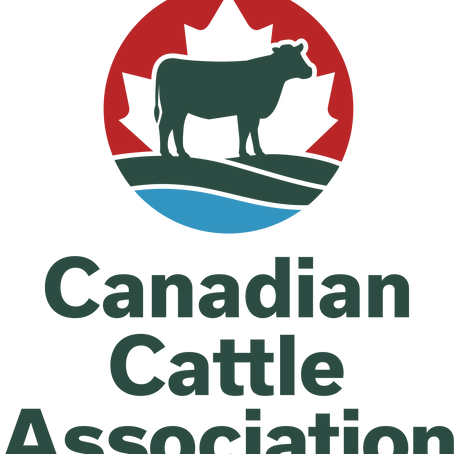 CCA Elects New Board Representatives for 2024-2025