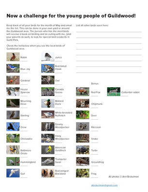 Bird ID Challenge for May!