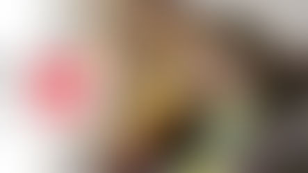 Donate a Plate for Lent!