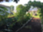 Path and archway through vegetable garden.