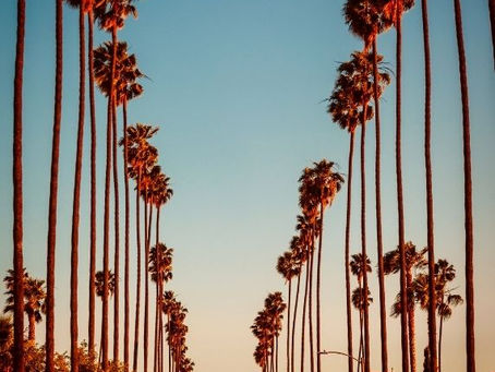 The Art of Living Well in Los Angeles