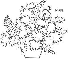 Arranging A Good Way To Say It With Roses