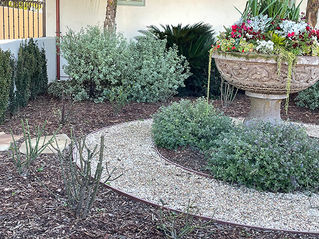 Mulch: The Basis of Any Good Garden