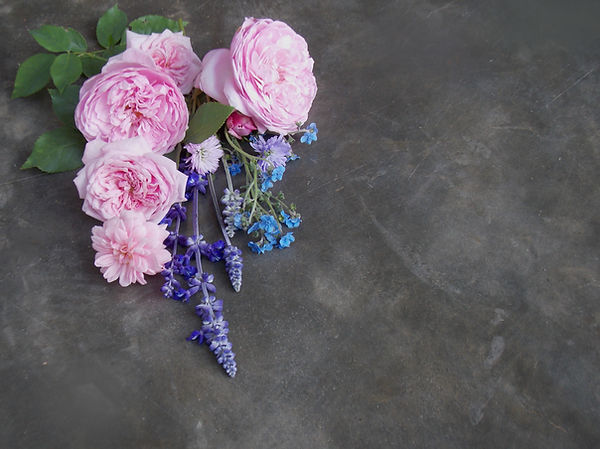 Rose background