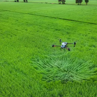 Precision Farming: Enhancing Yields with Agri Drones Innovation