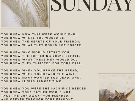 Holy Week / Palm Sunday