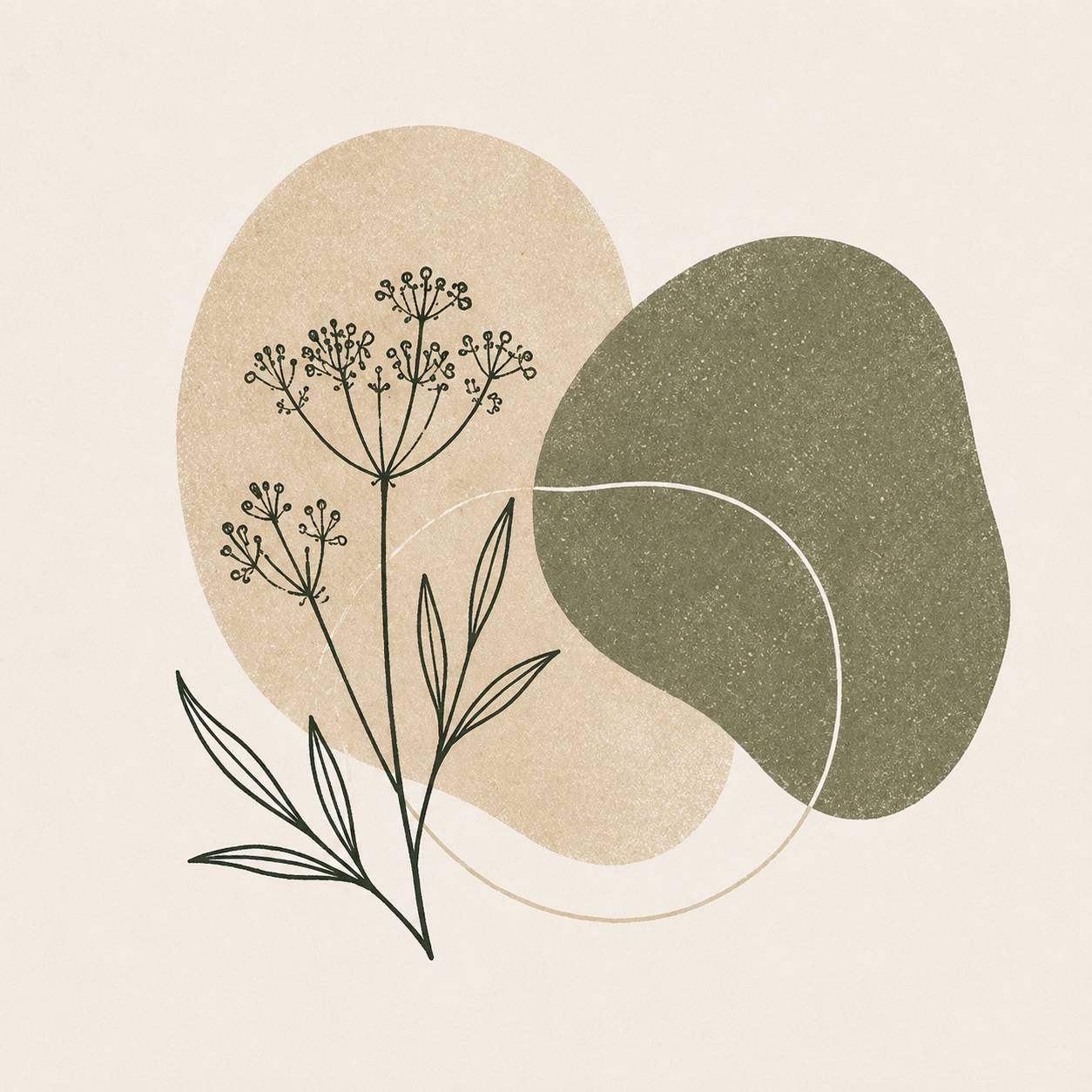 C00AEB7B-E76F-4144-906F-08FE320DE0F3.PNG