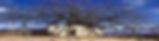 ibn-mashish1 500_edited.jpg