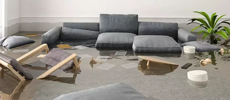 water-damage-health-main-sq.webp