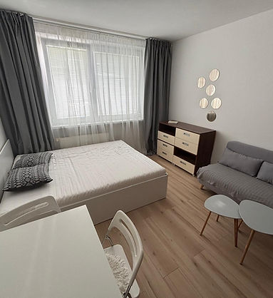 small studio apartment interior redesign for rental 1.jpeg
