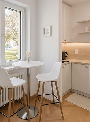 MONMAT Interior Design_investment appartment_reconstruction 1.jpeg