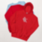 Thumbnail: Unisex Hoodie Embroidered