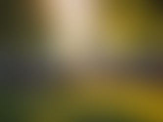 General Discussion Topics for Forums