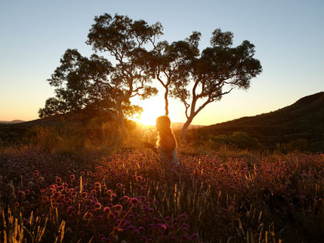 Meditation on God and Nature | Photo by William Christen on Unsplash
