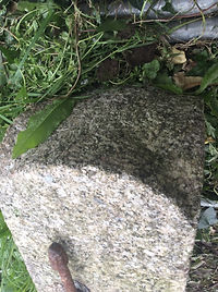 Image-5.jpeg