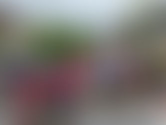 Eierlesen trotz Regen