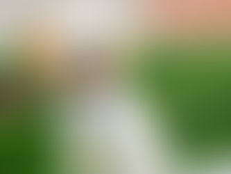 Charlie poses proudly with her graduation medal