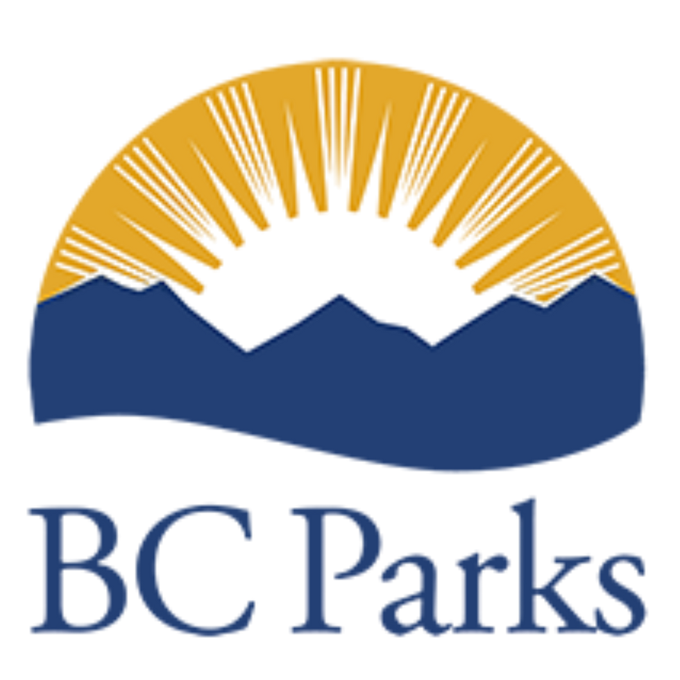 Untitled design (30).png