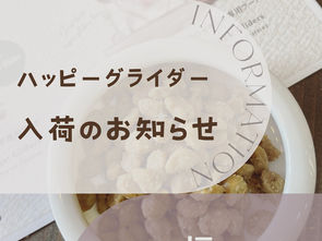 ハッピーグライダー入荷のお知らせ