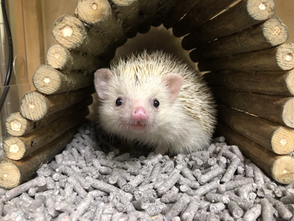 カメラ目線📷✨