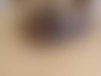 ハリネズミの飼い主様募集中です!!