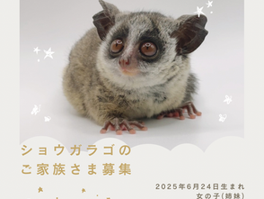 ご家族さま募集!