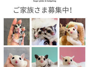 ご家族さま募集中♡
