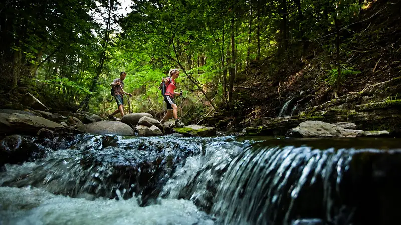 Randonneurs traversant un ruisseau en forêt