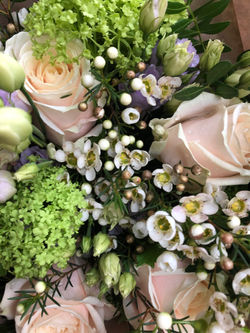 image00008.jpeg