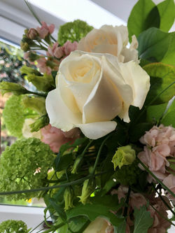 random%20rose_edited.jpg