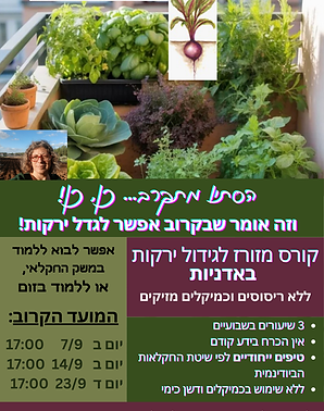 קורס קצר 7-9-26.png