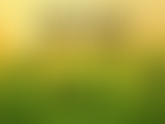 Dr. Nielson's Morning Routine Part 2