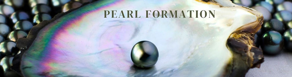 The Wonder of How Pearls Are Formed