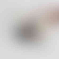 Silver Spiny Cat Paw Pendant Necklace