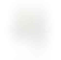 slightly mismatched earrings with opals and pine leaves hanging with gemstones on the tips