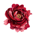 Untitled design(28).png