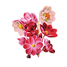 Untitled design(31).png