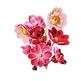 Untitled design(31).png